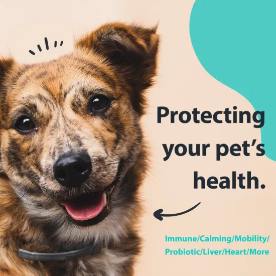 消化、免疫と健康、季節性アレルギーをサポートする消化用プロバイオティクスソフト犬用噛み物